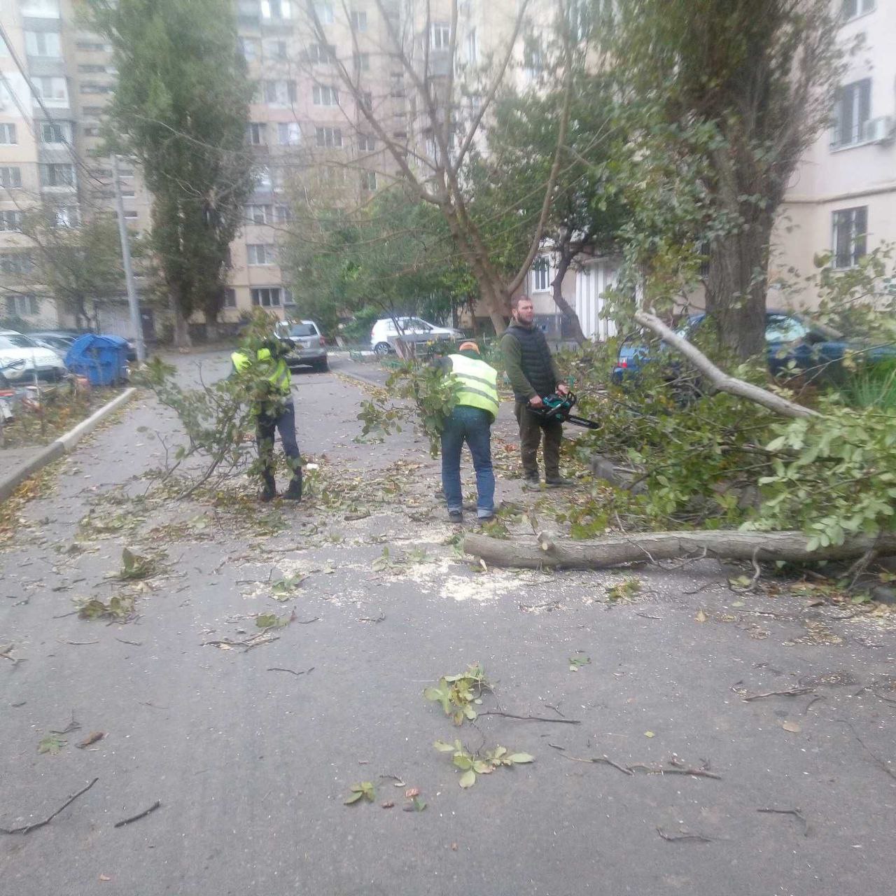 На півдні вирує негода: в Одесі та Херсоні – деревопад (фото)